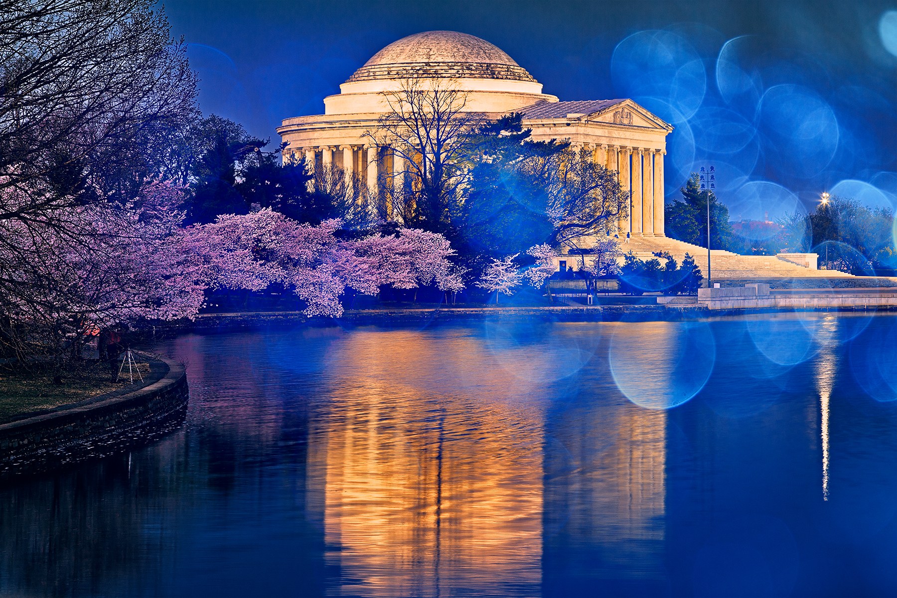 The illuminated Jefferson Memorial rises behind cherry blossoms and blue circles of bokeh reflected across the Tidal Basin.